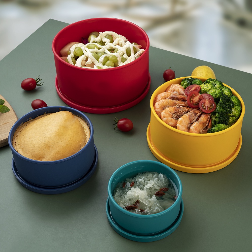 Glass Silicone Food Container