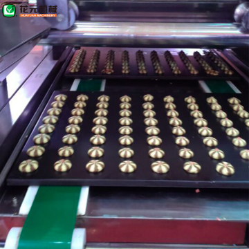 HYSQJ-600 Automatic Double Color/Single Color Cookie Depositor Machine for Sale