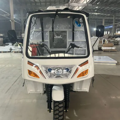 Durable Special Tricycle with Secure Cargo Box