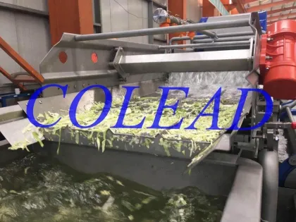 Lettuce washing machine/salad washing machine