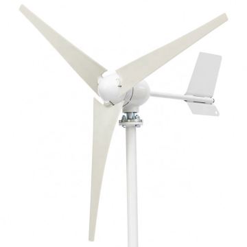 Fabrika Satışı 800W 24V Ücretsiz MPPT Kontrolör ile Ev Kullanımı için Küçük Rüzgar Türbini