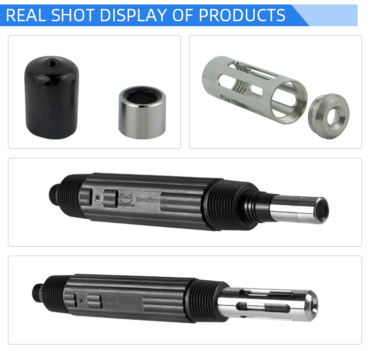 dissolved oxygen sensor (1)