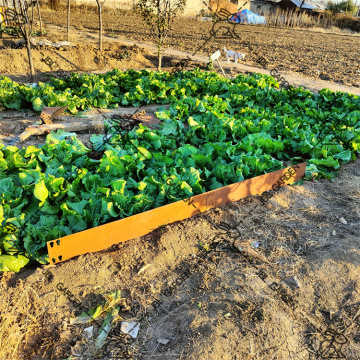 Pelouse de jardin bordant la haute patine