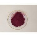 Ekstrak Bilberry