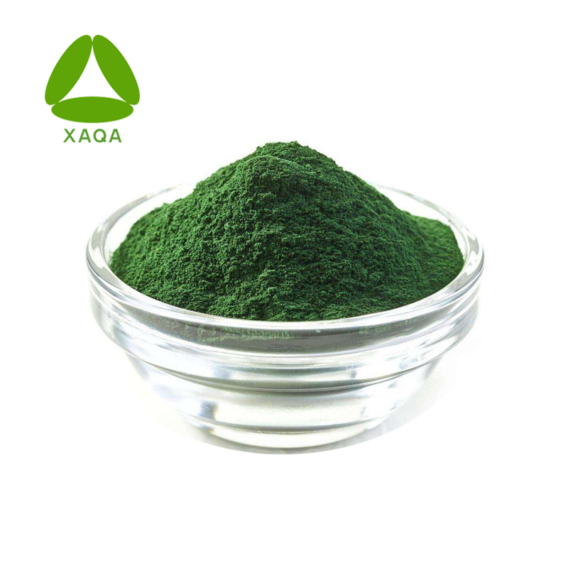 Polvo de proteína de espirulina 60% Material para la salud deportiva