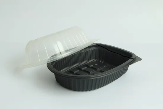Disposable Blister food Packaging for Food