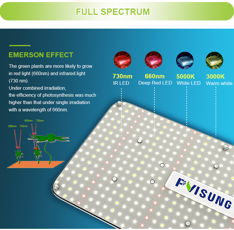 150w Led Grow Light