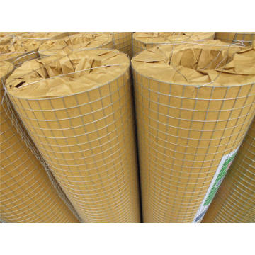 Galvanized Welded Wire Mesh in roll