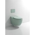 Wall hung toilet with concealed cistern ceramic