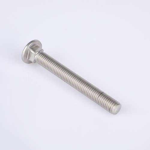 Güvenli Bağlantılar için Hassas Taşıyıcı Cıvatalar