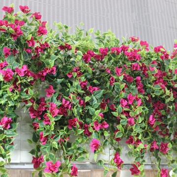 YAYUN 60CM Hanging Artificial Bougainvillea Plant Vine - A-1074