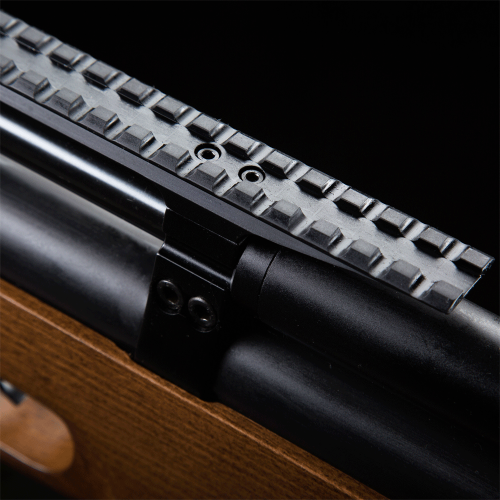 PCP Air Bullpup P10
