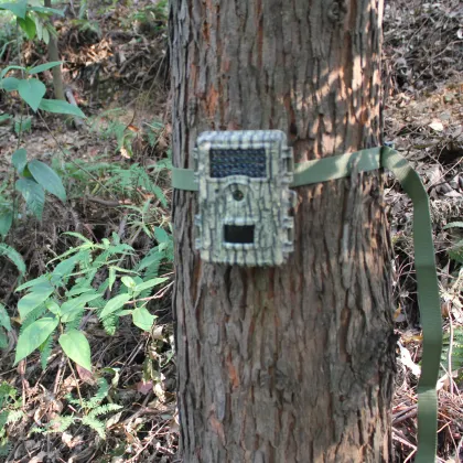 PIR Motion Sensing Wildlife Photography Camera​