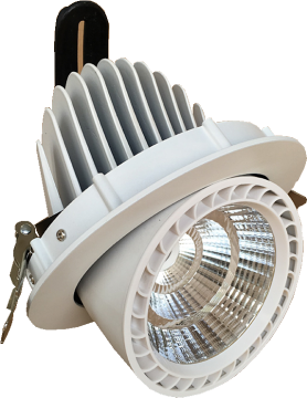 Luz del tronco del LED 30W en blanco
