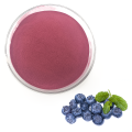 100% PURE NATURAL BLUEBERRY FRUIT POWDER