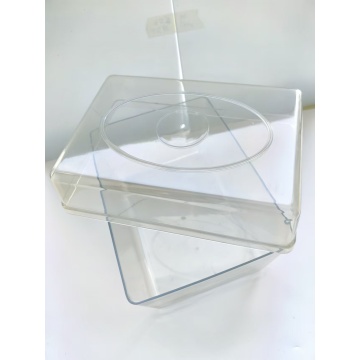 Seed germination plastic box Injection molding