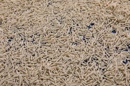 Deluxe Vegan Cat Litter Emitting Subtle Milk Sweetness
