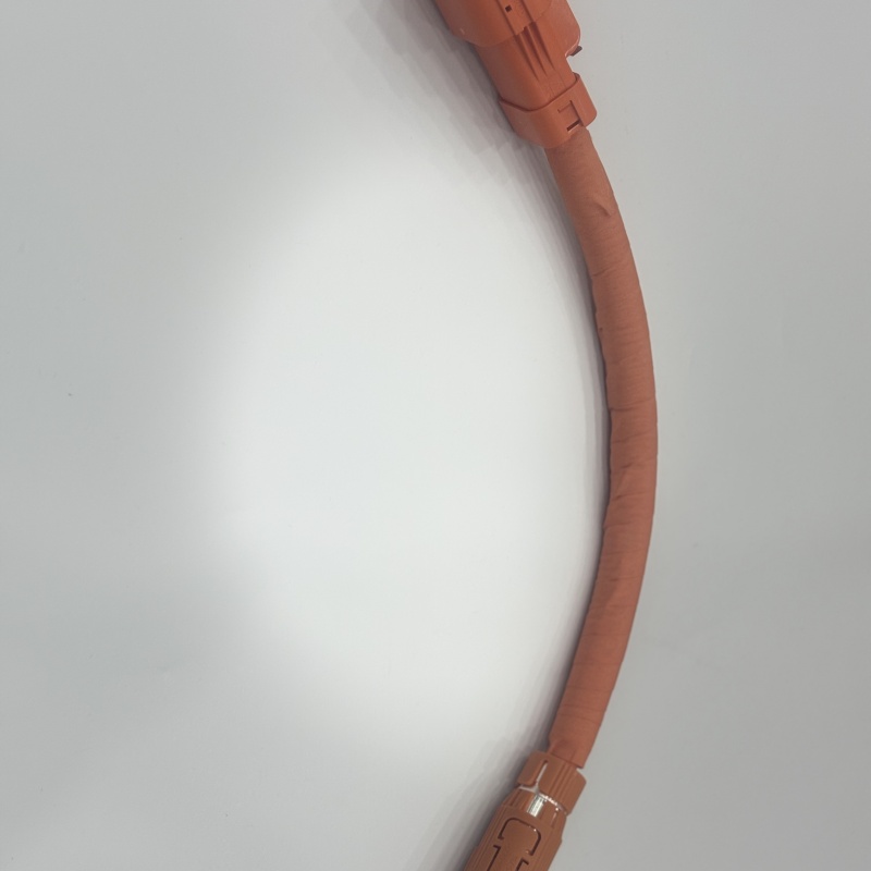 High Voltage EV Wiring Harness for Electric Vehicles