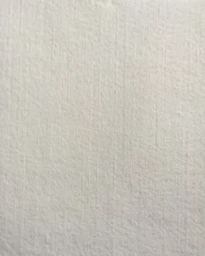 Yarn Reinforced White Polyester Mat