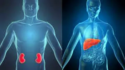 Hot Sell Sarms raw powder liquid Cardarine Gw501516