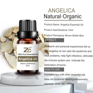 Óleo de raiz angelica natural 100% puro