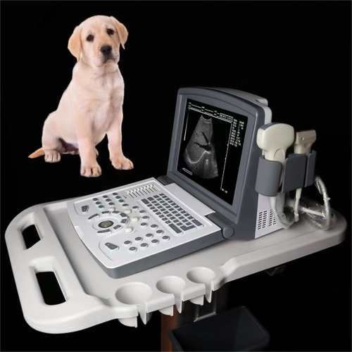 Portable Veterinary Black and White Ultrasound Scanner