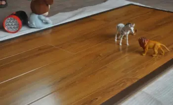 German Technology Laminated Floor