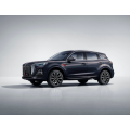 Hongqi HS5 High Performance Family Car
