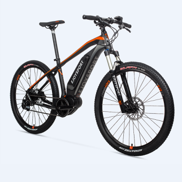 Customized Mountain E Assist Bike