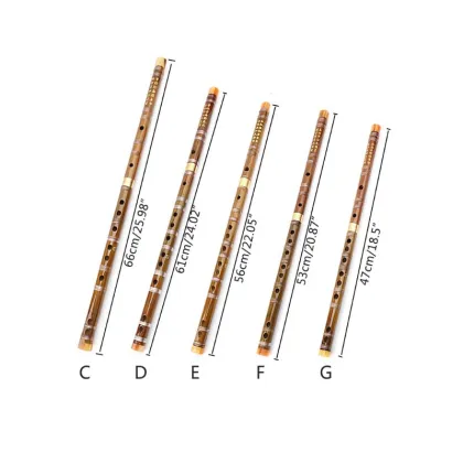 2021 New Professional Bamboo Flute Chinese Woodwind C D E F G Key Transverse Flute DiZi
