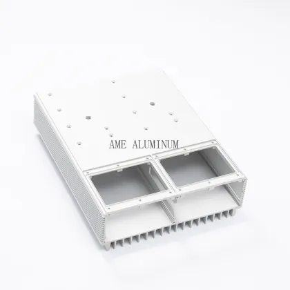 OEM Enclosure Electrical Aluminum Module Case Anodized