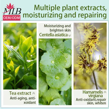 OEM Vegan Mild Fruit Facial Masks - High Quality Plant Beauty Sheet Masks