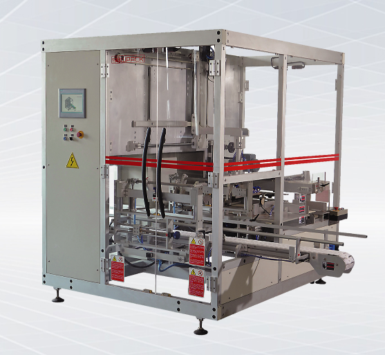 Auto Carton Loading Machine