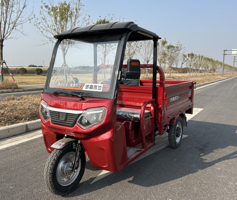 Manned Electric Tricycle