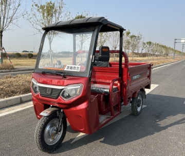 3 Wheel Drift Electric Scooter For Adult 1000W