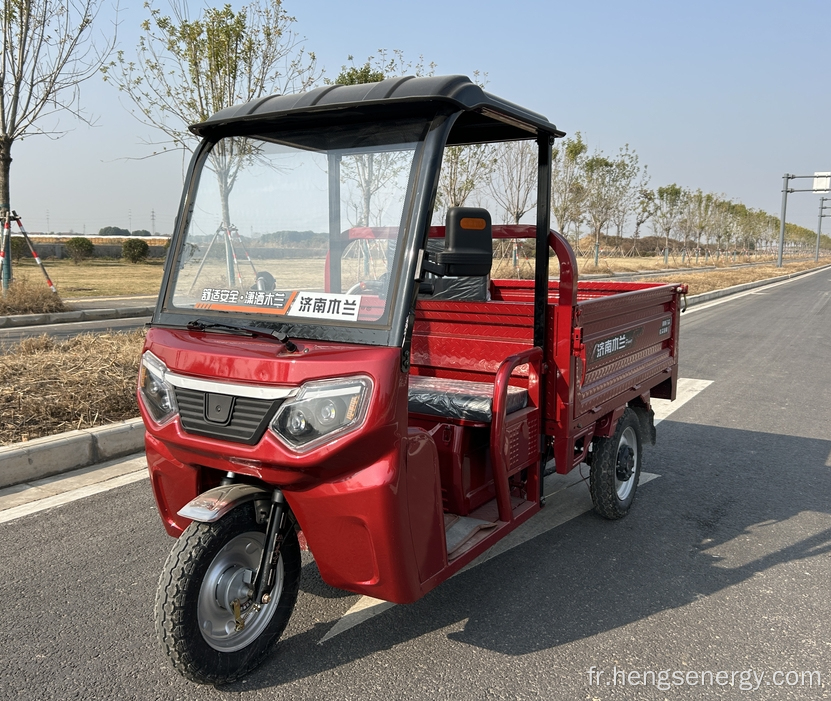 Scooter électrique à dérive à 3 roues pour adulte 1000W