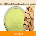 Scutellaria Baicalensis Extract Powder