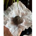 Botian Yiwu Trà Pu'er thô Dragon Balls | Vùng trà cổ Vân Nam, 8 miếng mỗi hộp, 8g mỗi miếng