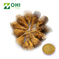 Maca Root Extract Macaenes Powder