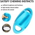 Squeaky Pet Dog Teething Toy