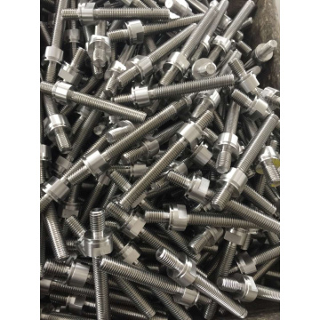 SS316 Stainless Steel Bolt Screw Anchors