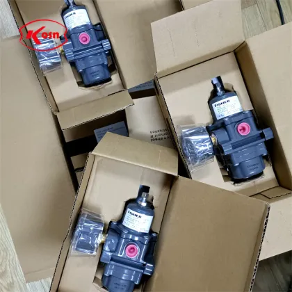 Pressure Reducing Valve and Filter Regulator for Fisher 67C Series Instruments