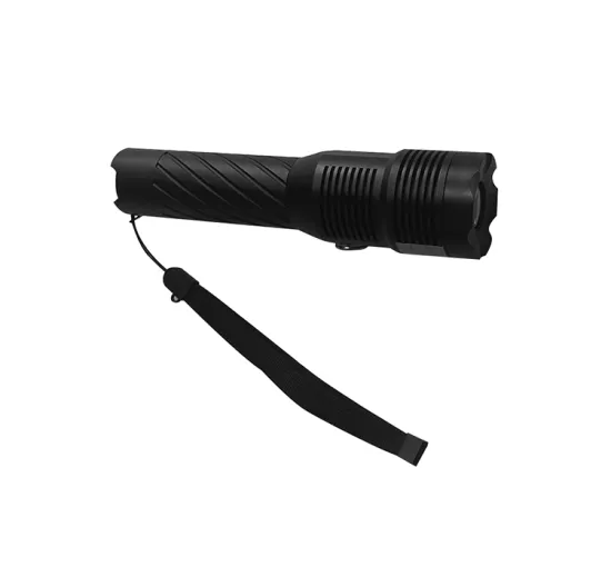 Optlaser Laser Flashlight OPT-F