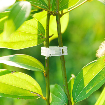 Clear white 2.5cm plant grow clip support clamps