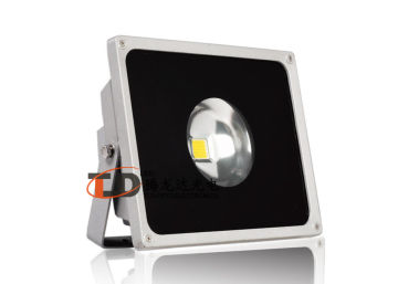Cool White 50w 4000lm Ip65 Dc Projector Led Lights With Bridgelux Chip