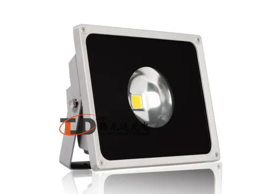 60 Degree Led Industrial Flood Lights 40 Watt , Led Projection Lights For Building