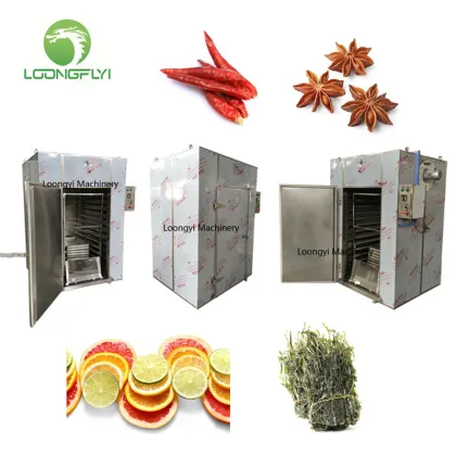 Loongyi 100kg meat melon seeds dryer machine