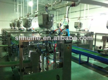 Multi Function stand up pouch packing machine
