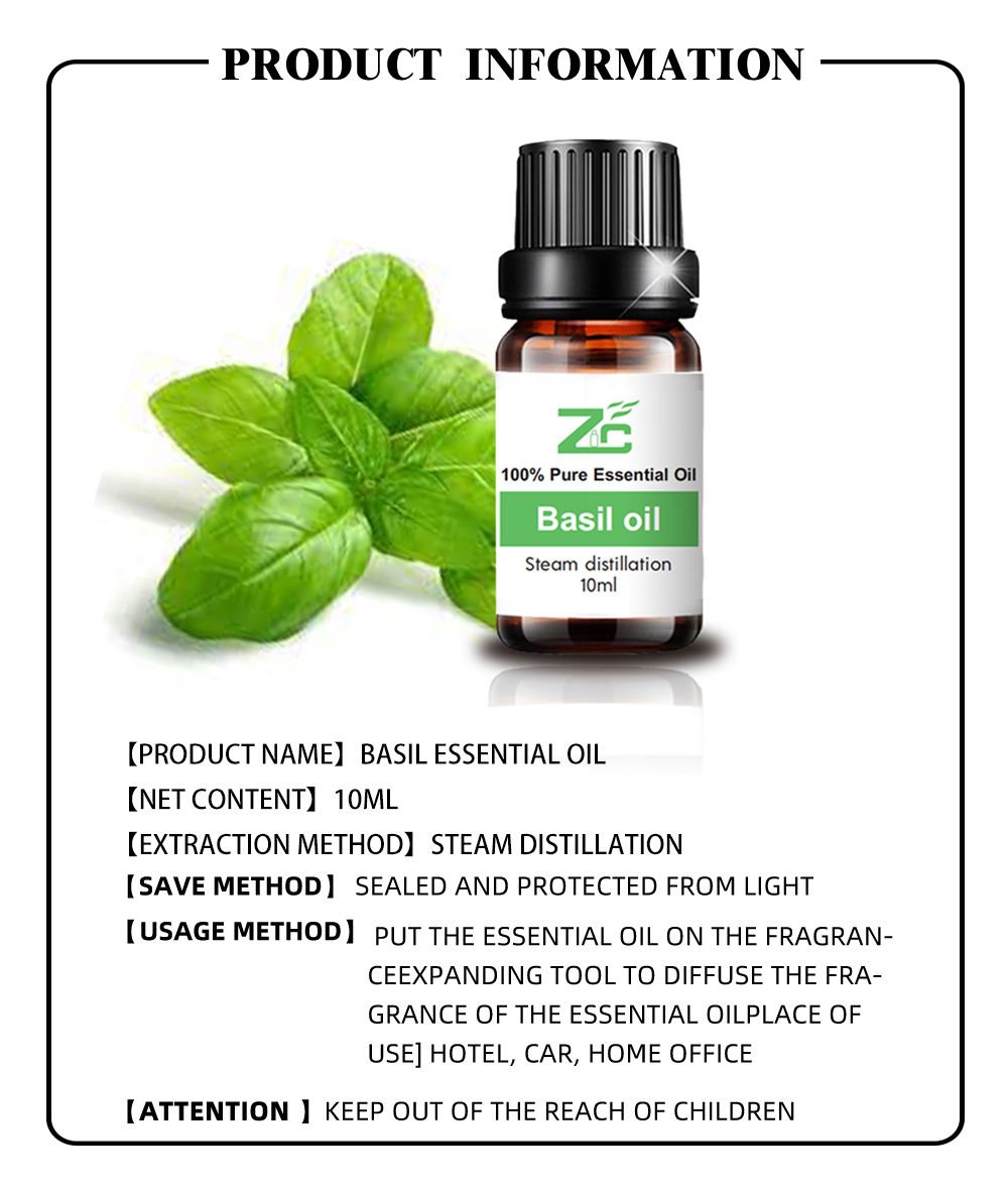 Best Quality Steam Distillation Natural Organic Basil Oil