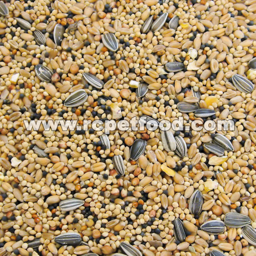 Premium food for pet birds canary seed